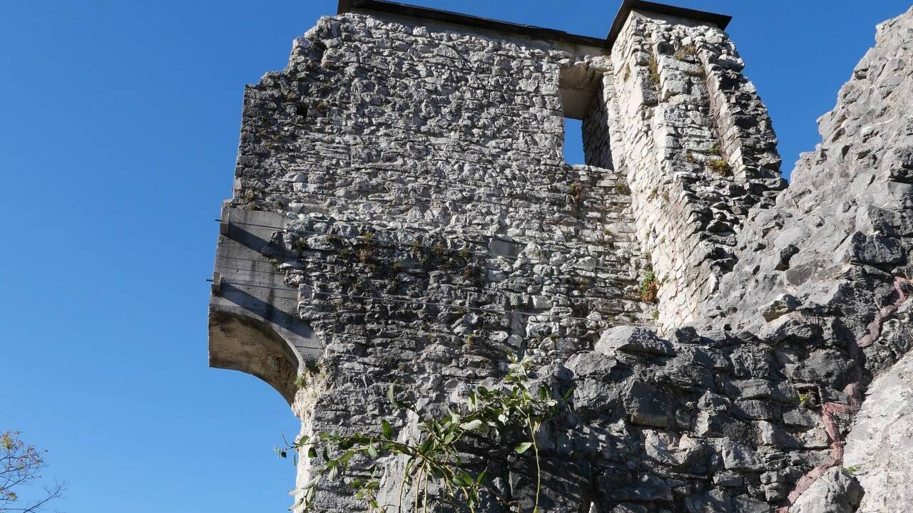 Blick auf die Burgruine. 