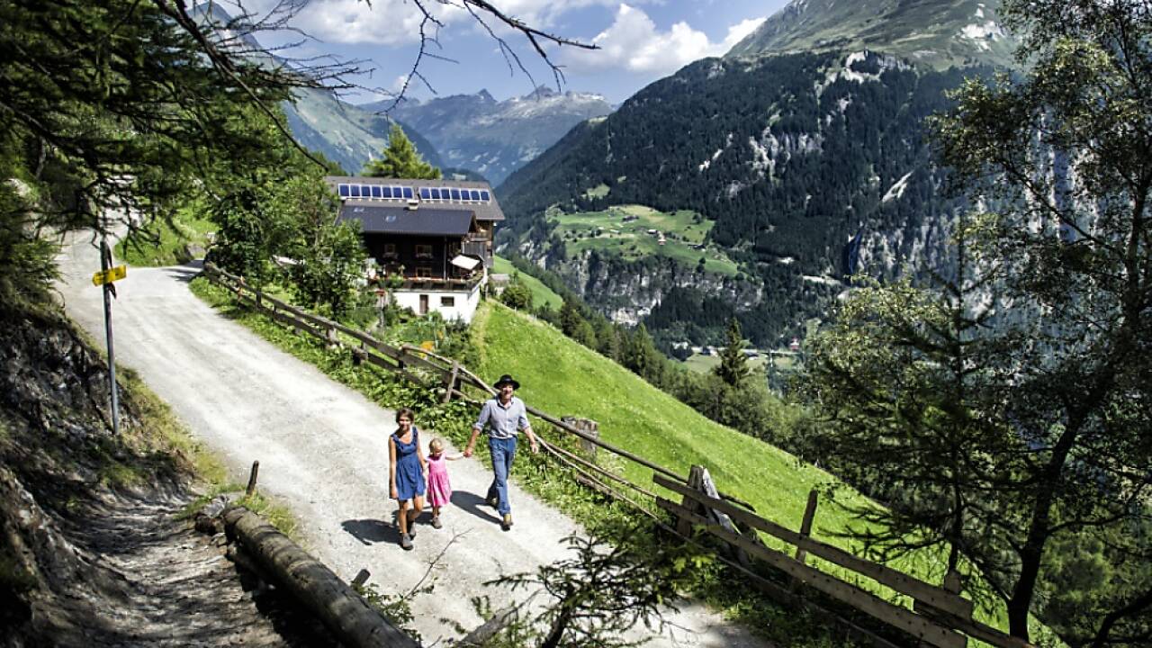 Urlaub am Bauernhof - Hier in Osttirol 