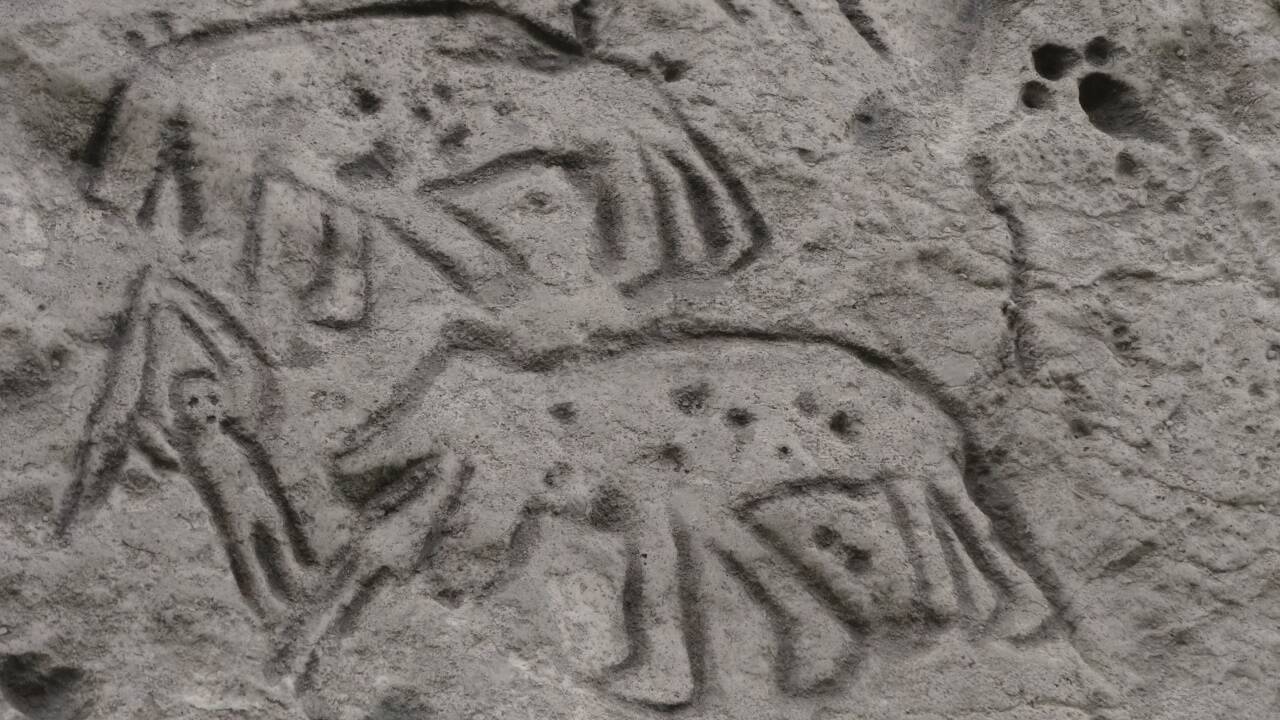 Der Jäger mit den Bären.  