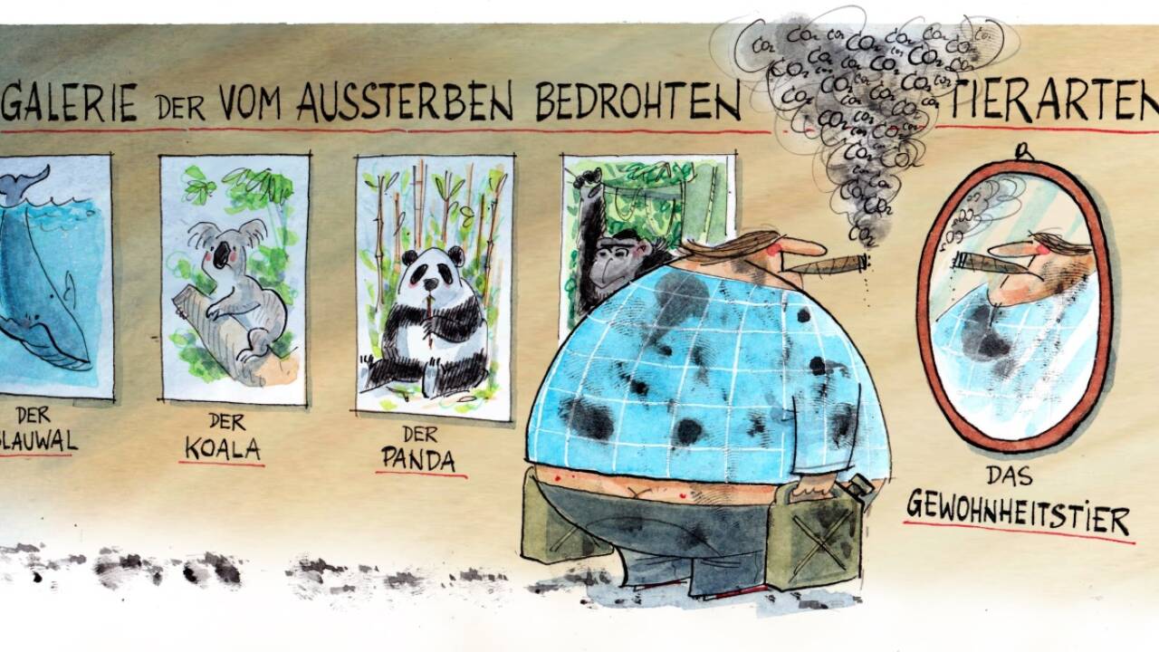 Das Fossil in mir . .   Das Fossil in mir . .