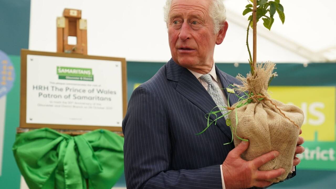 Früher fürs Baumpflanzen verhöhnt – heute gelobt: Prinz Charles.  