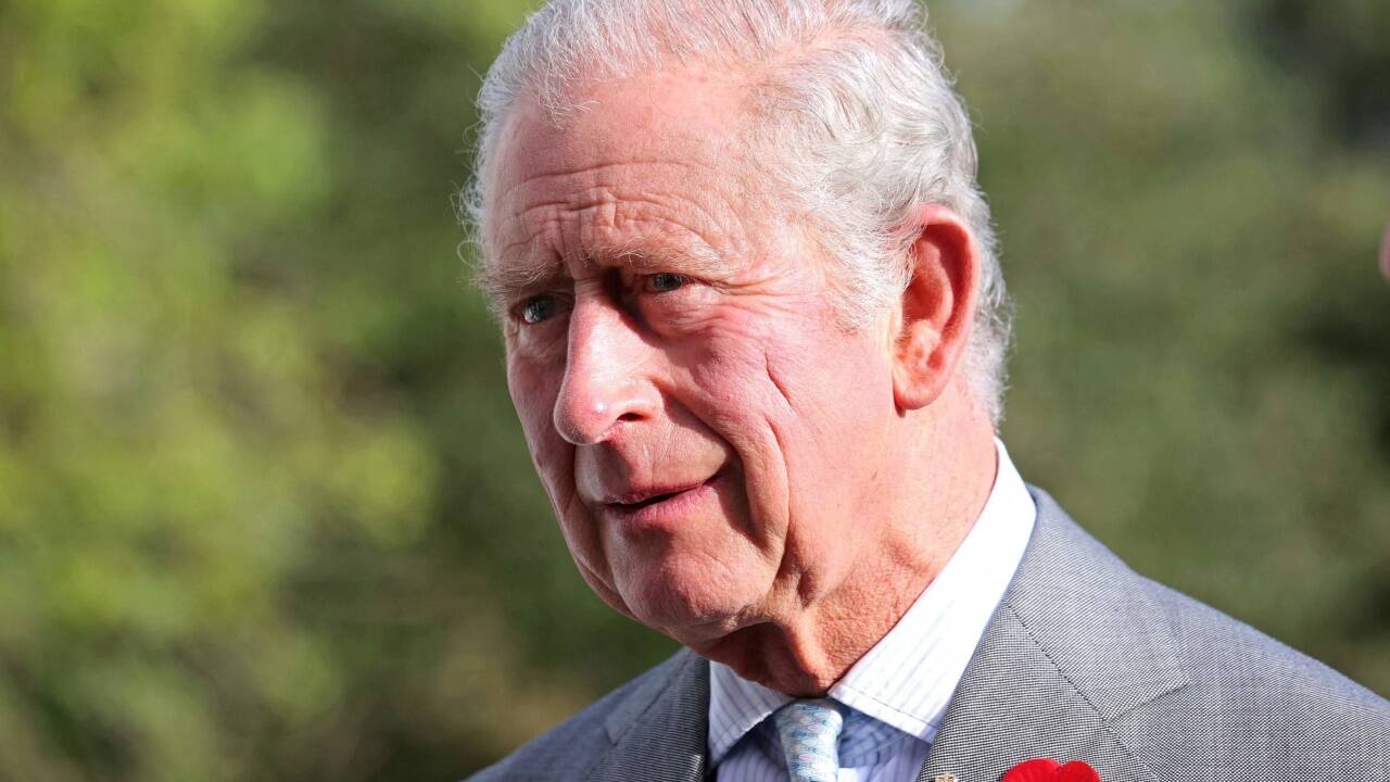 Prinz Charles mit Mohnblume. 