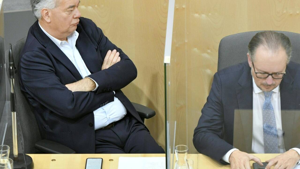 Vizekanzler Kogler im Archivbild.  