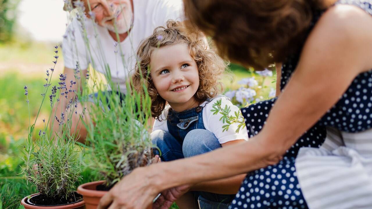 Die Gartentherapie hilft Menschen aller Altersgruppen mit unterschiedlichen Erkrankungen.  Die Gartentherapie hilft Menschen aller Altersgruppen mit unterschiedlichen Erkrankungen.