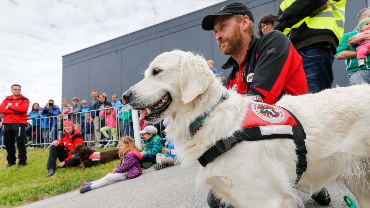 Die Lawinenhundestaffel Salzburg stellt sich vor. Die Lawinenhundestaffel Salzburg stellt sich vor.