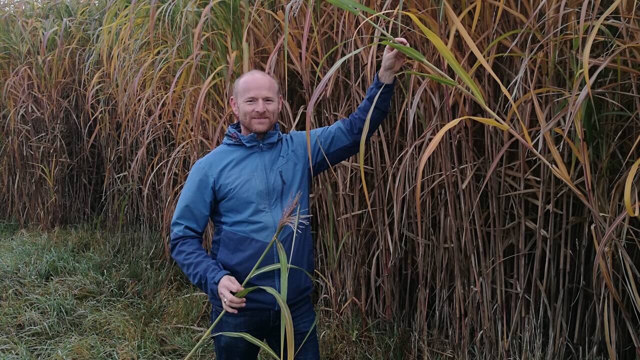 Reinhard Sperr macht mit „Jumbogras“ gute Geschäfte.Sam 