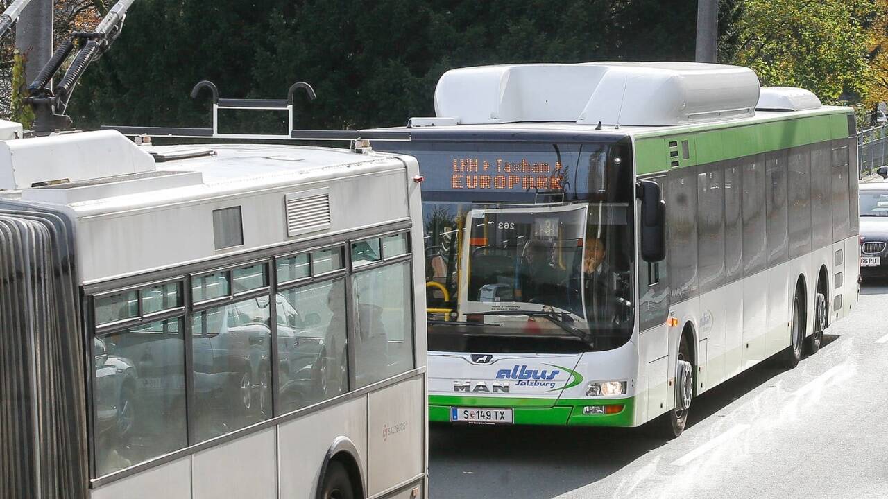 Auf der Linie 9 löst die Albus-Flotte den Obus ab (Archivbild).  Auf der Linie 9 löst die Albus-Flotte den Obus ab (Archivbild).