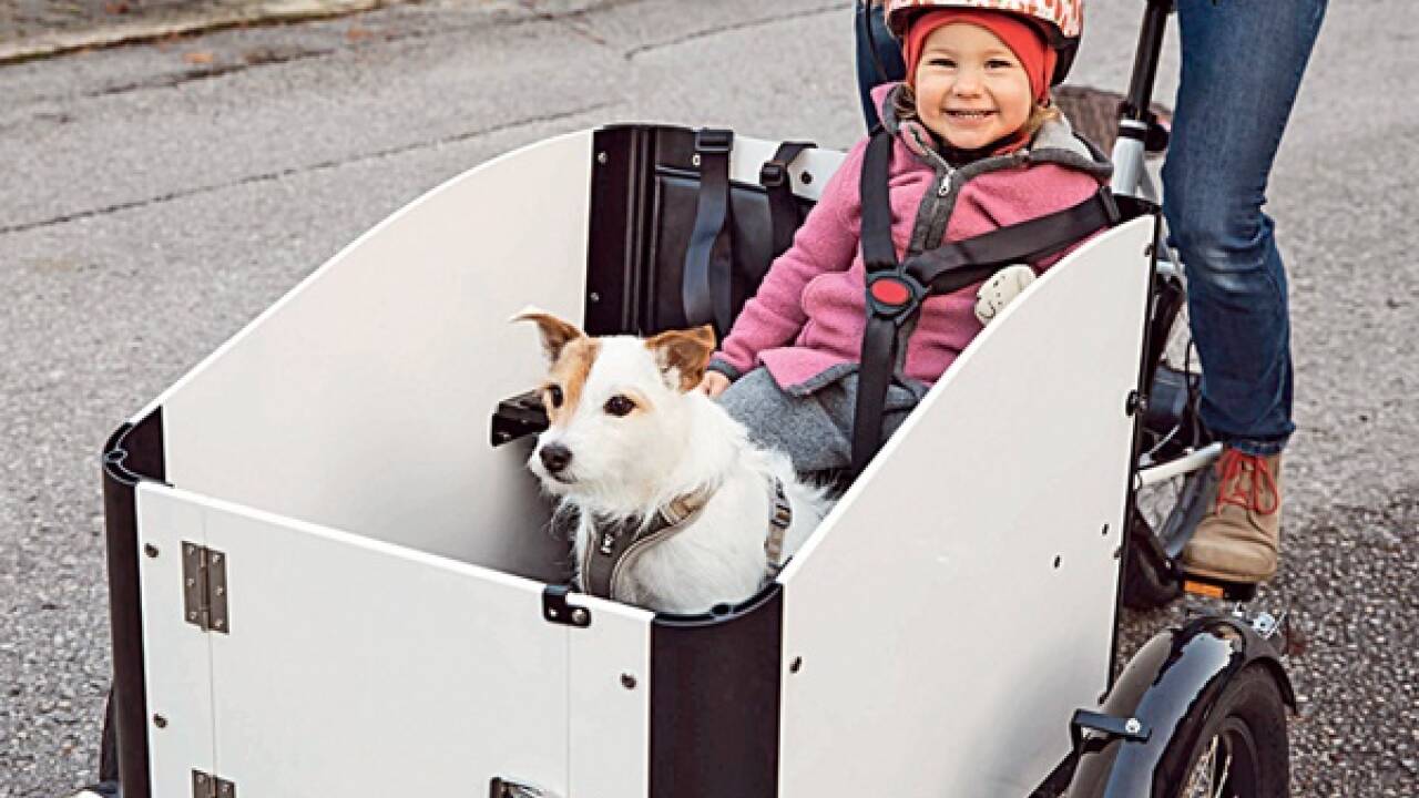 Für größere Hunde gibt es auch eine spezielle Hundeversion. 