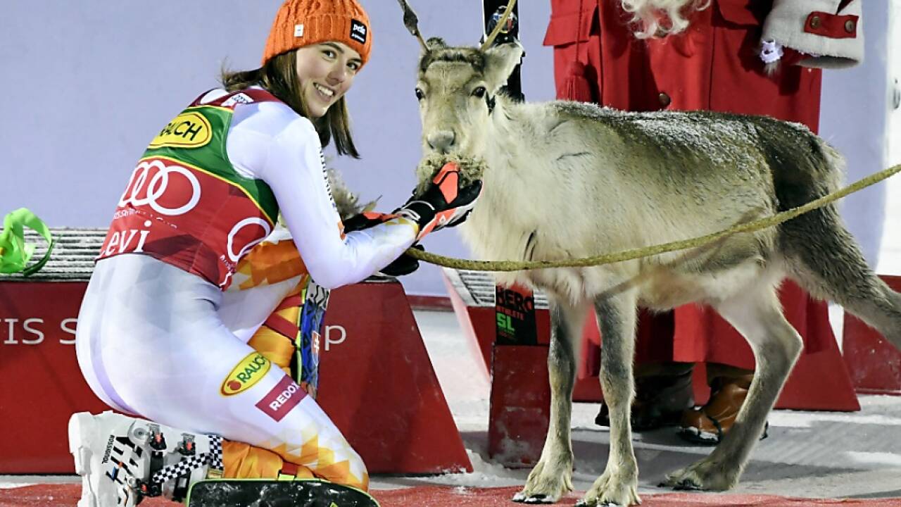 Vlhova hat mit vier Stück nun schon eine Rentier-Herde. 