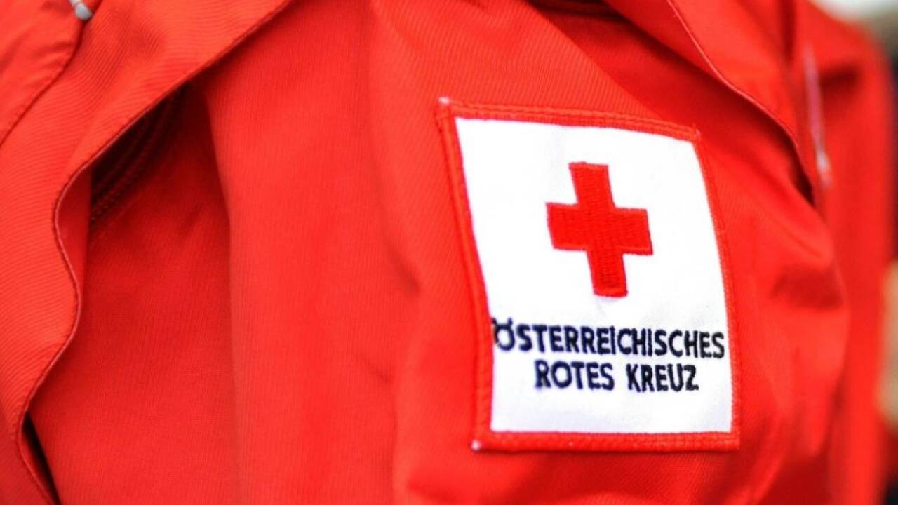 Der Bursch wurde an Hüften und Armen verletzt. 