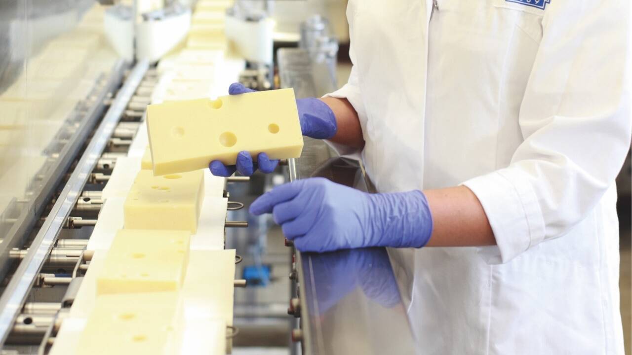 Der Wasserverbrauch in der Käseproduktion ist groß. 