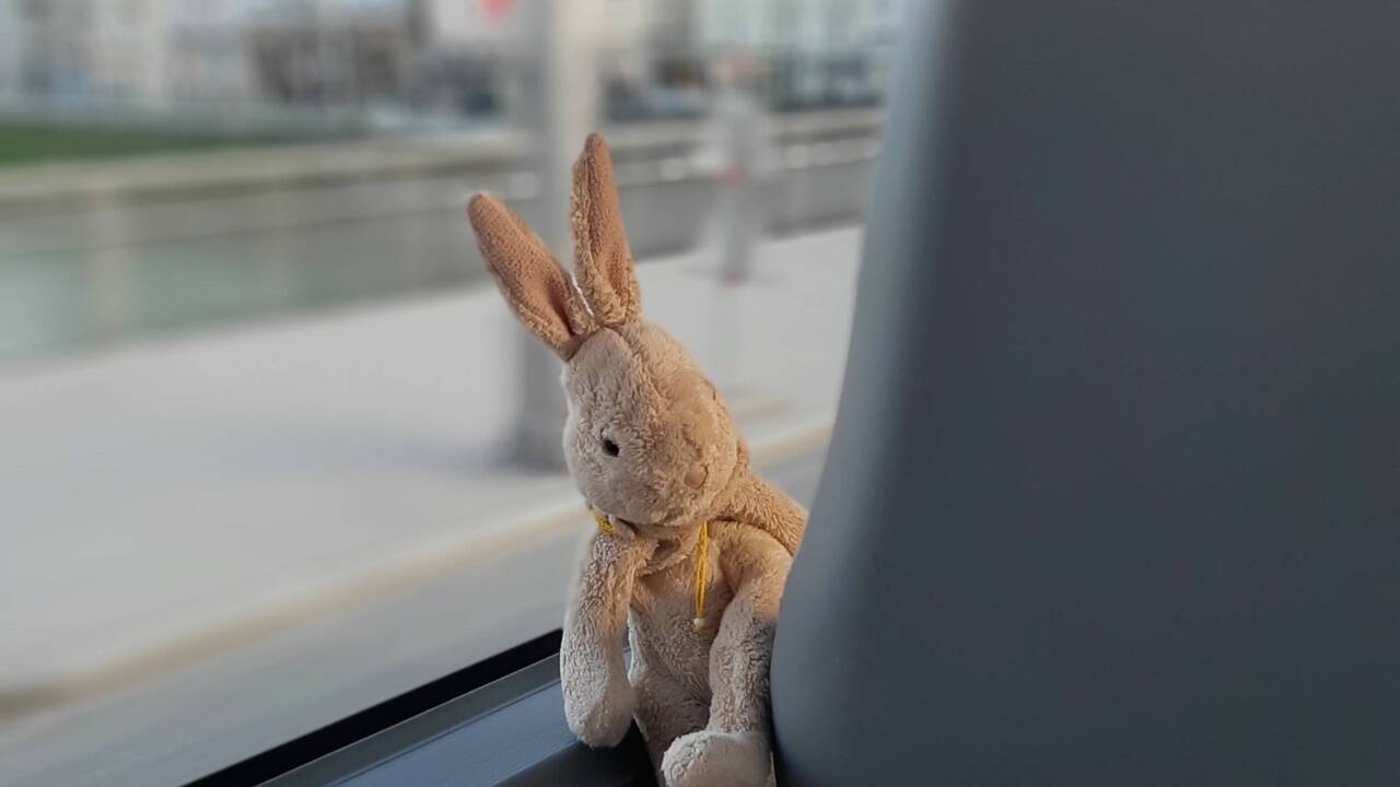 Stoffkuschelhase „Hanna“ war allein auf Besichtungstour in der Stadt Salzburg.  