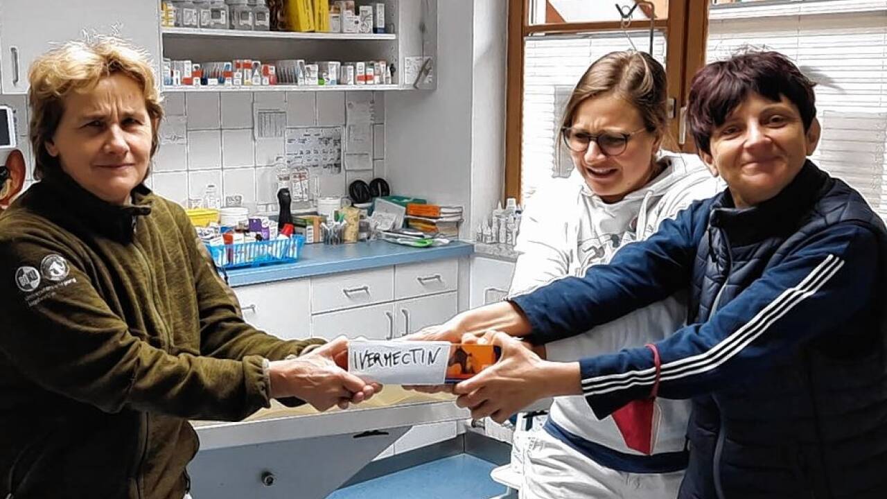 Die Tierärztinnen Gabi Fidler, Anna Stölzl und Veronika Niederkofler<br /> Lutsch warnen. Sie beobachten die Nachfrage nach dem Entwurmungsmittel, das sie für Tiere benötigen.Bild: SW/privat 