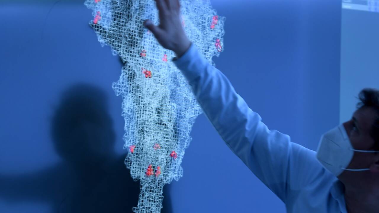 Die neue Variante weist 32 Mutationen im Spike-Protein auf 