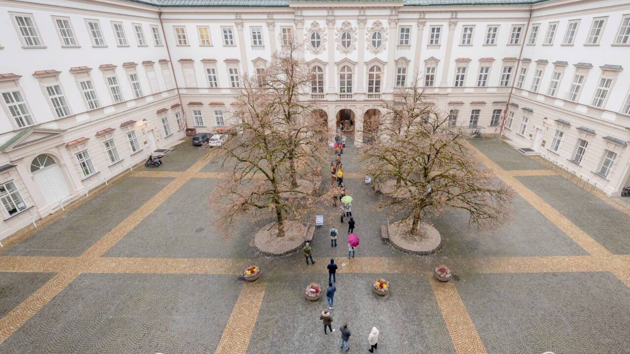 Geduldiges Warten im Schlosshof. Geduldiges Warten im Schlosshof.