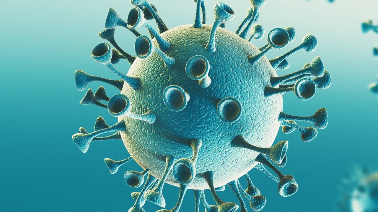 Das Coronavirus schlug sich 2020 auch in der Sterbestatistik Salzburgs nieder. 