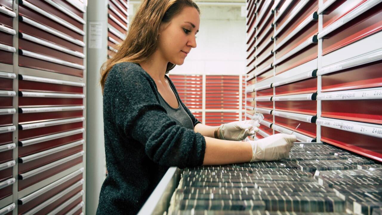 Die Biobank verwahrt humane Proben sicher und ethisch korrekt. 