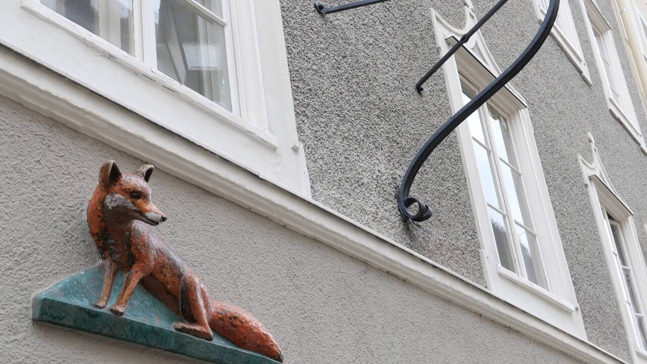 Ein tierischer Wächter. Ein tierischer Wächter.