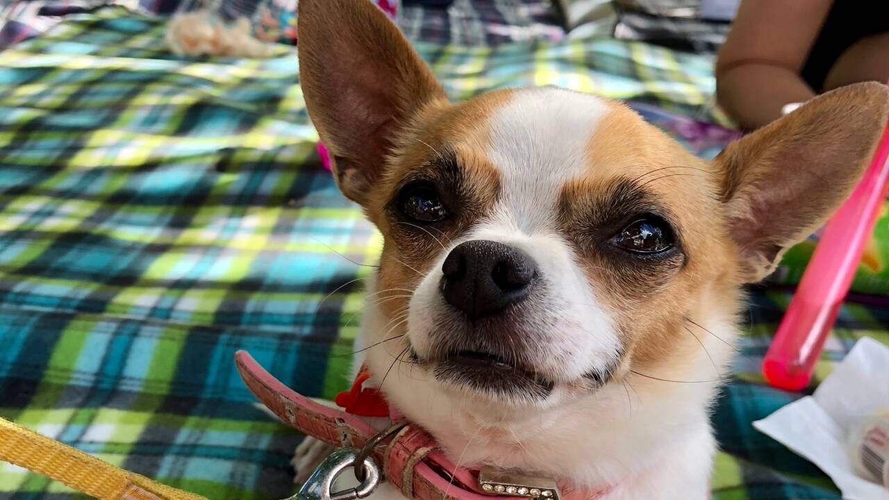 Symbolbild Symbolbild