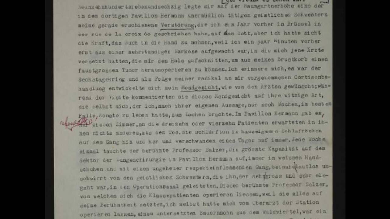 Thomas Bernhards Erzählung 'Wittgensteins Neffe' online 