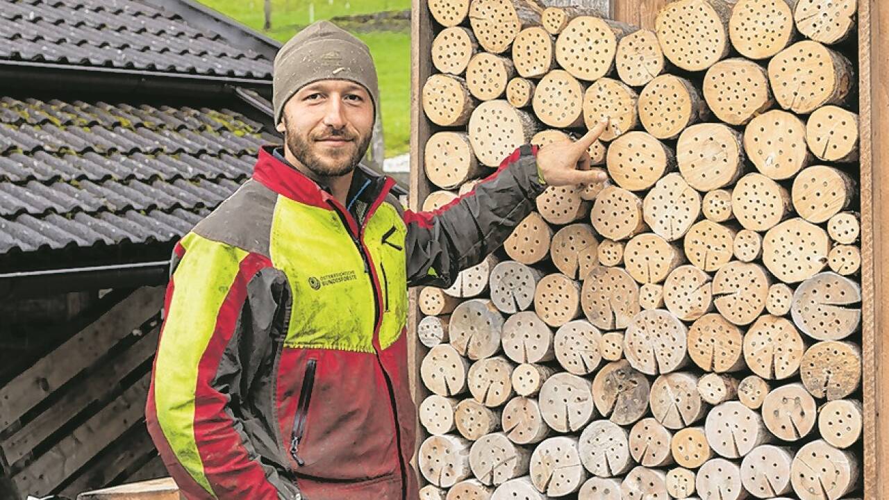 Alexander Hengstschläger mit Insektenhotels.  