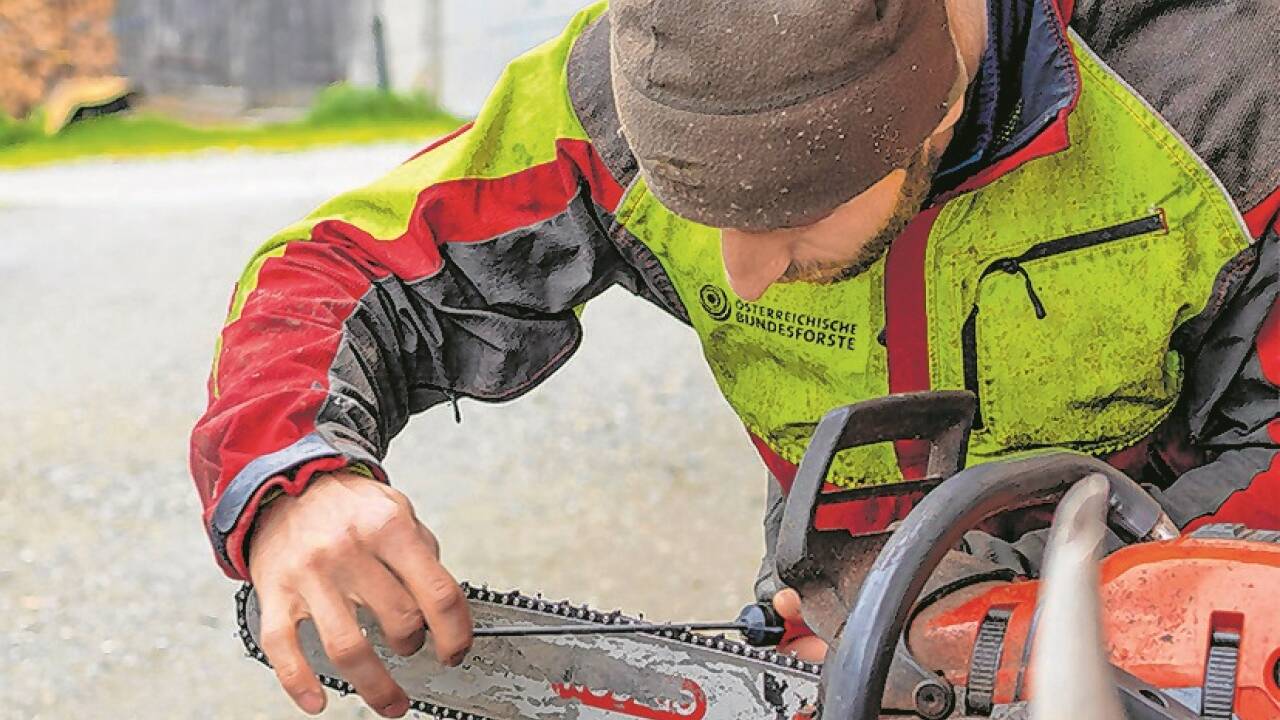 Gerade beim Hantieren mit der Motorsäge ist Vorsicht geboten.  