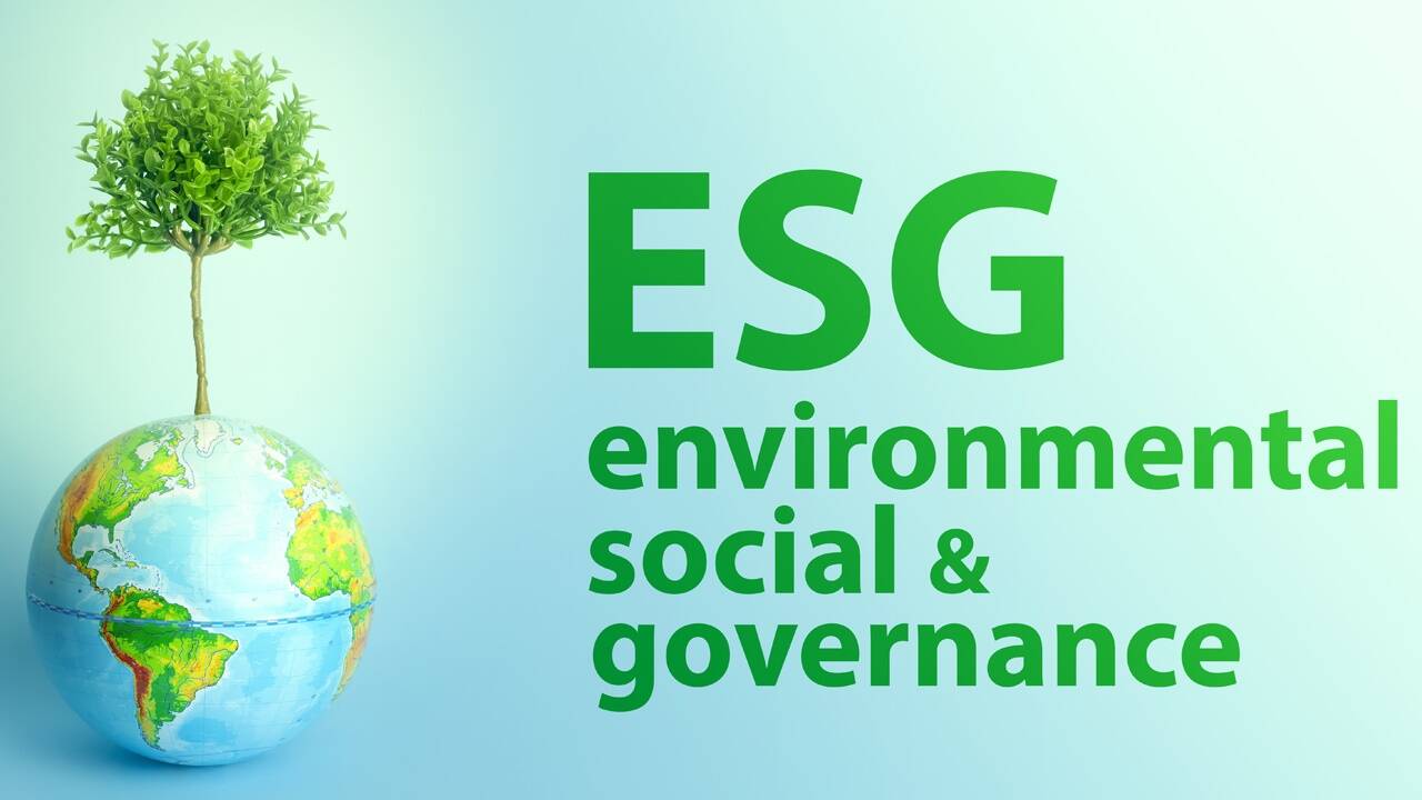 ESG-Kriterien werden vermehrt in der Investmentstrategie berücksichtigt.  ESG-Kriterien werden vermehrt in der Investmentstrategie berücksichtigt.