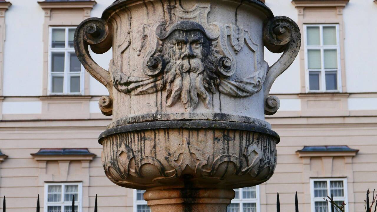 In der Nachbarschaft wacht ein wilder Mann.  
