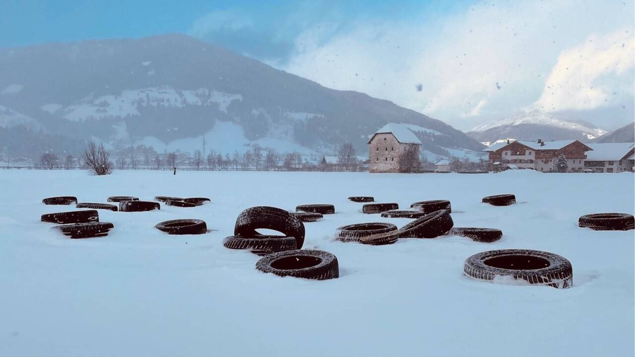 Werke und Projekte der Ausstellung. 
