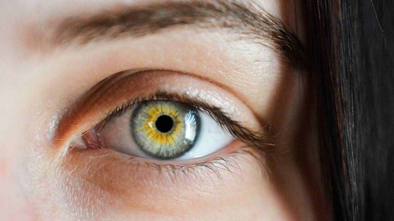 Das Auge ist ein wichtiges Organ bei der Vorsorge. 