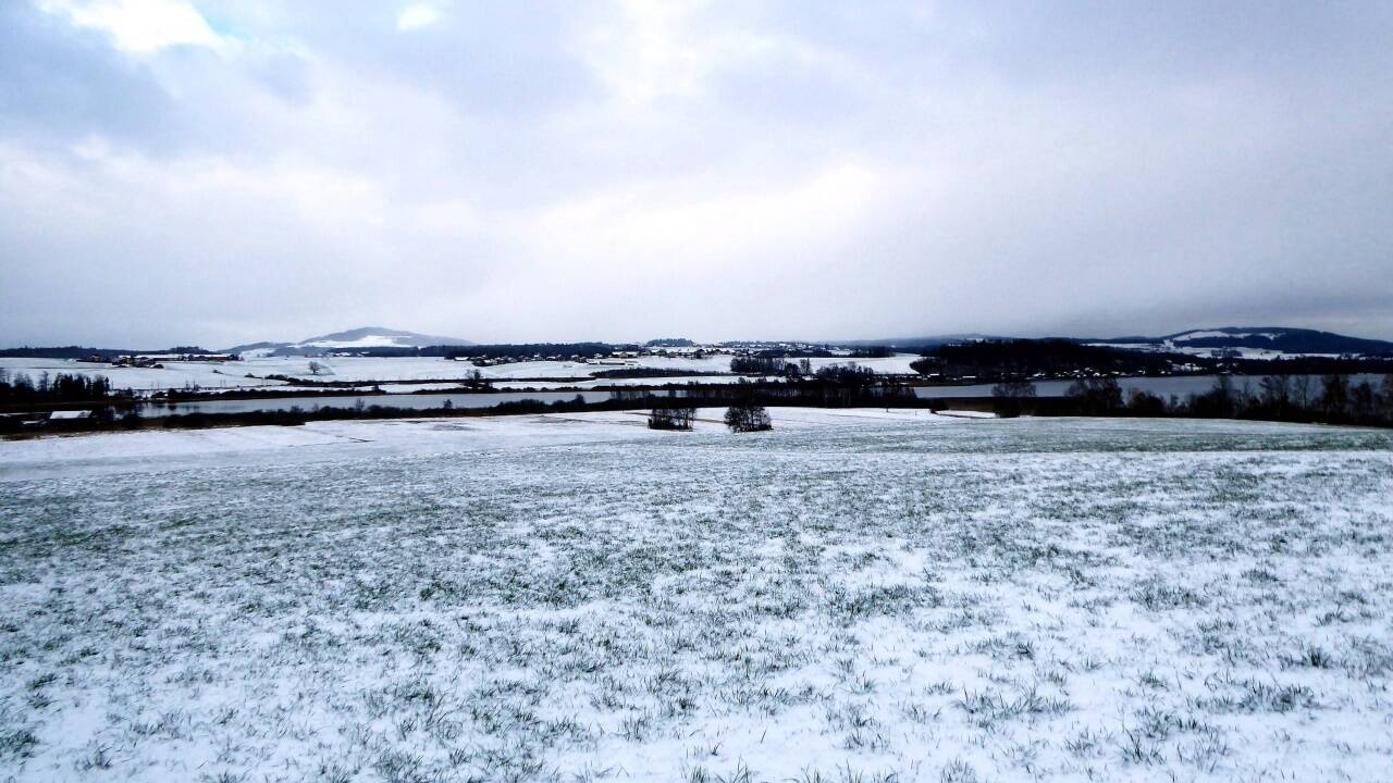Ziemlich unspektakulär, aber beruhigend. Das Südufer des Wallersees.  