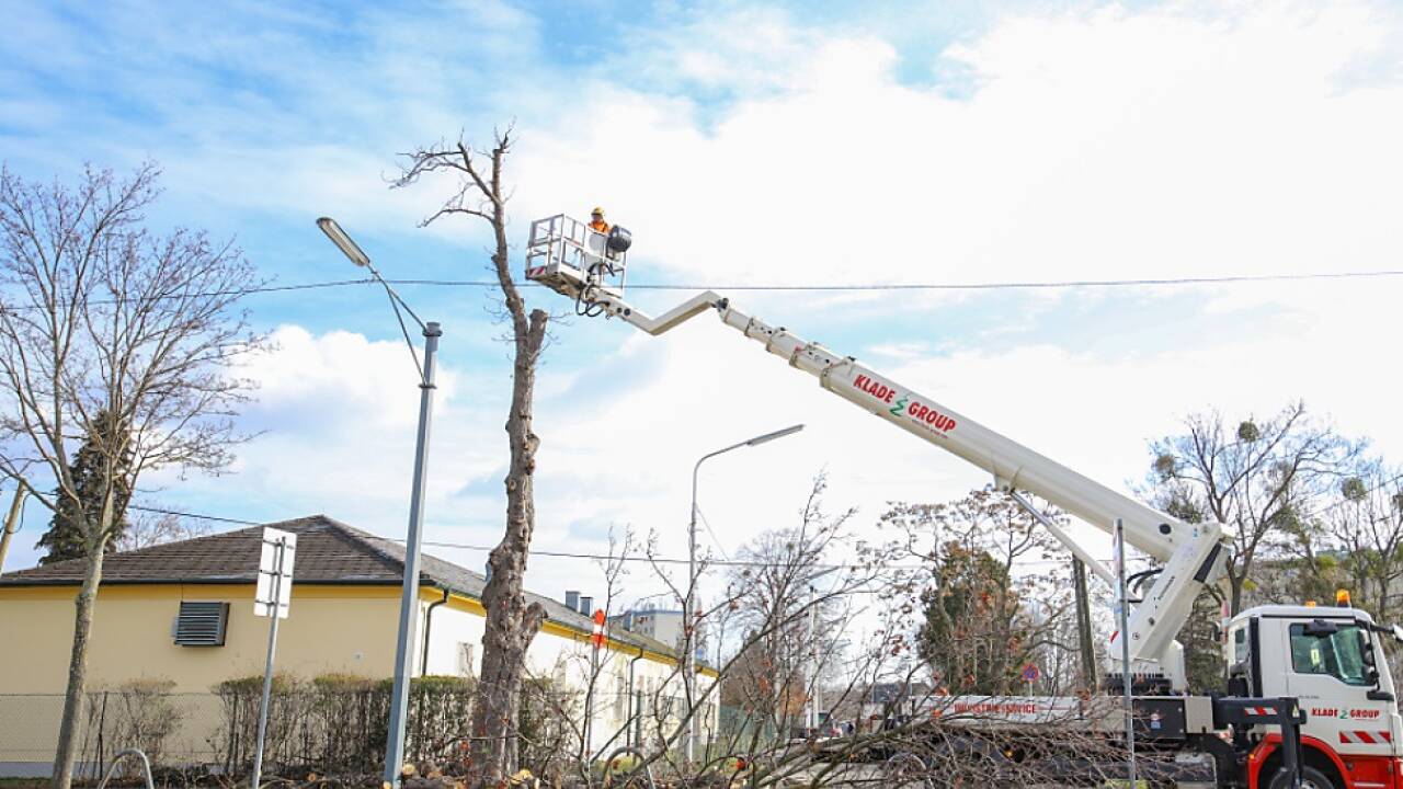 Die Bauarbeiten haben umgehend begonnen 
