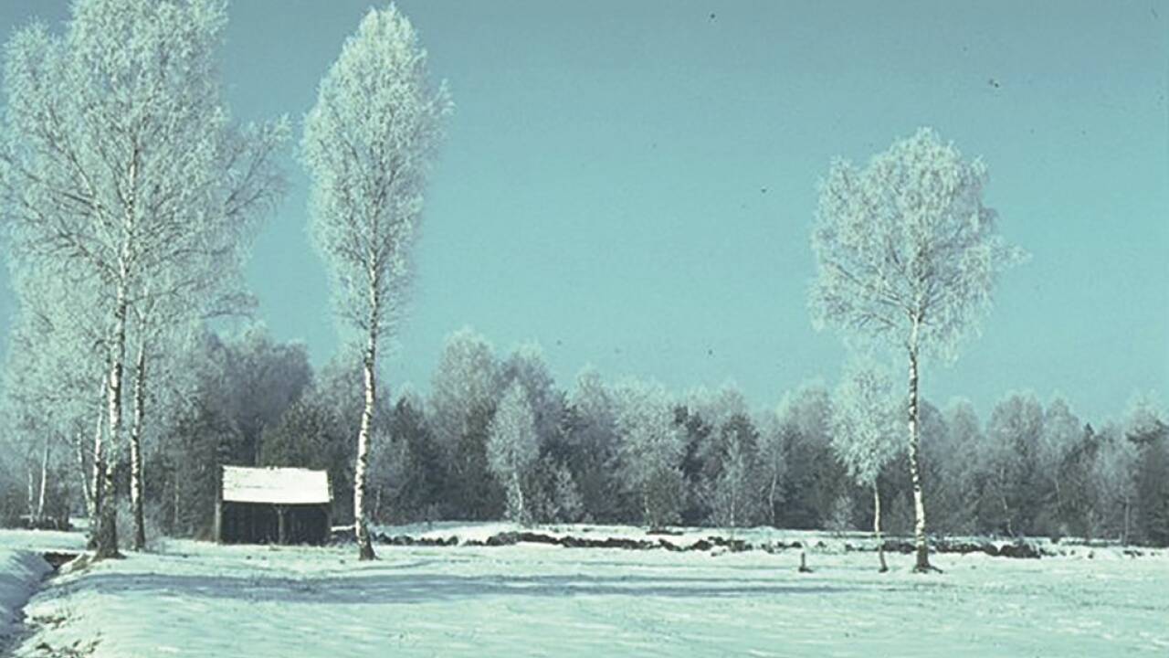 Torfhütten prägten die Landschaft. 