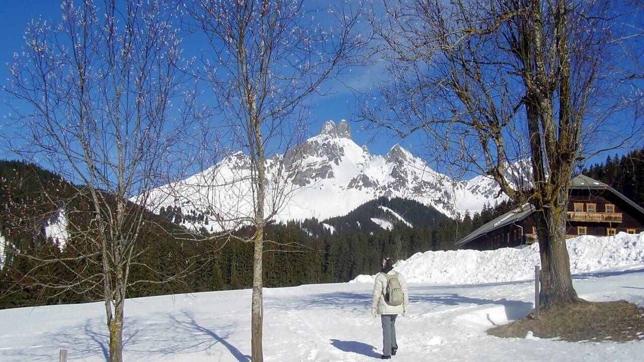 Wegvariante zu den Hofalmen am Fuß der Bischofsmütze führt am Wallehen vorbei.   Wegvariante zu den Hofalmen am Fuß der Bischofsmütze führt am Wallehen vorbei.