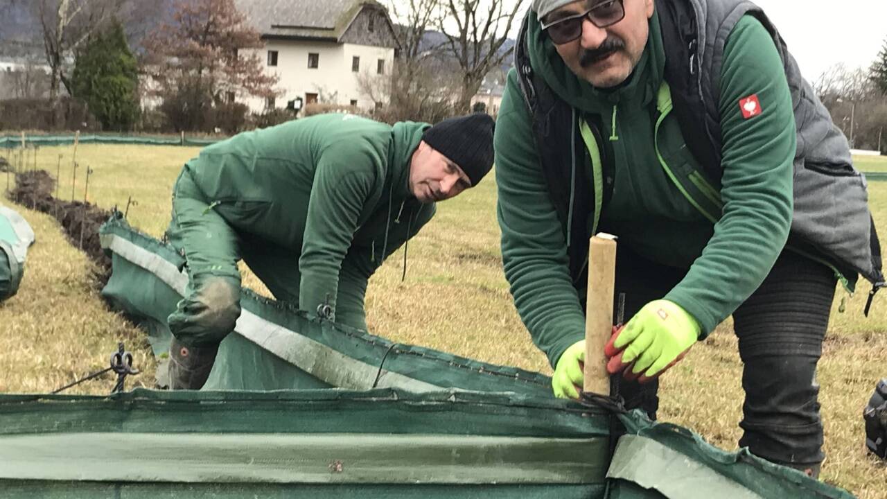 Yilmaz (vorne) und sein Kollege gehören zum Arbeitertrupp, der in der Vorwoche die Zäune auf dem Krauthügel errichtet hat. Yilmaz (vorne) und sein Kollege gehören zum Arbeitertrupp, der in der Vorwoche die Zäune auf dem Krauthügel errichtet hat.
