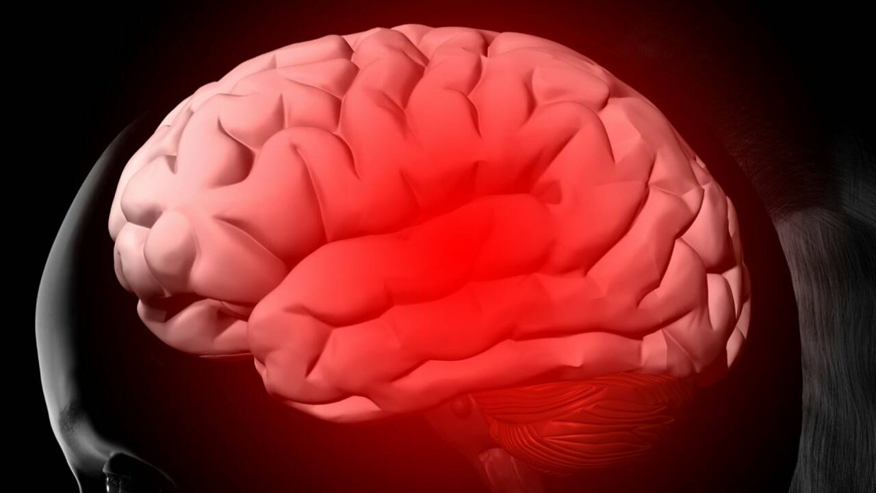 Prion-Proteine halten Nerven gesund
