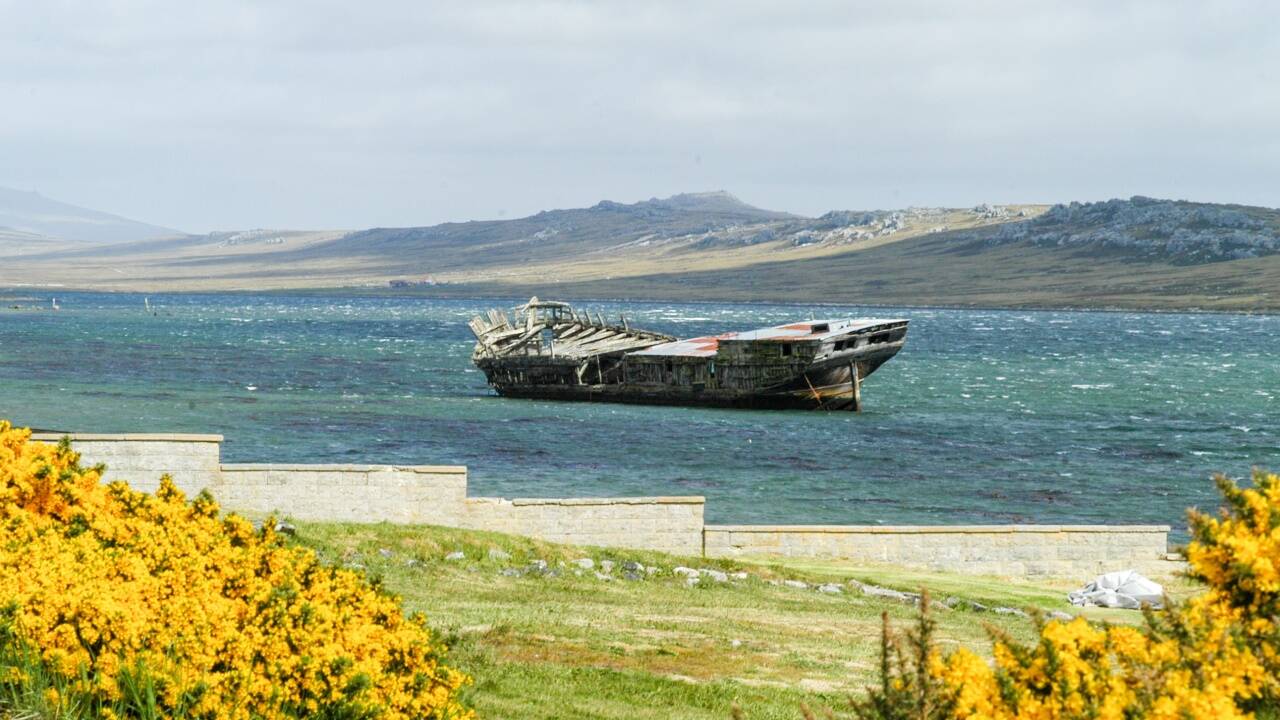 Die müden Reste einst stolzer Frachter liegen vor den Küsten der Falklands. 