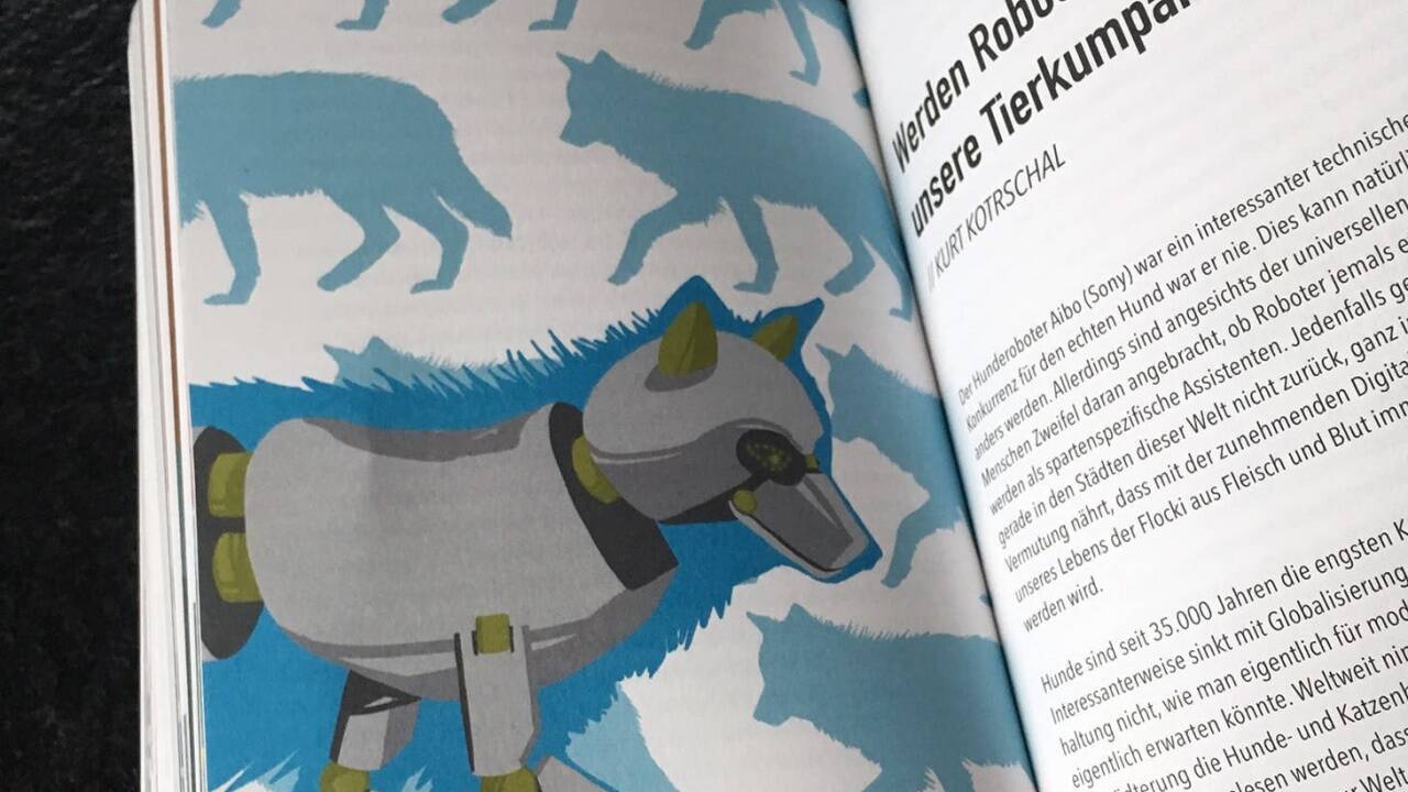 Wissenschaftliche Zeichnungen 