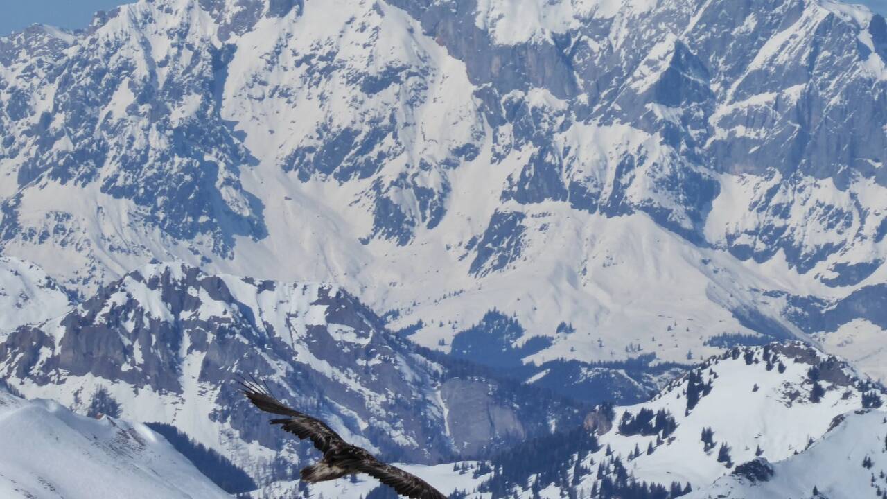 Blick von der Glingspitze auf den Bartgeier, Kreuzeck (Bildmitte links) und das Hochkönigmassiv im Hintergrund.   Blick von der Glingspitze auf den Bartgeier, Kreuzeck (Bildmitte links) und das Hochkönigmassiv im Hintergrund.