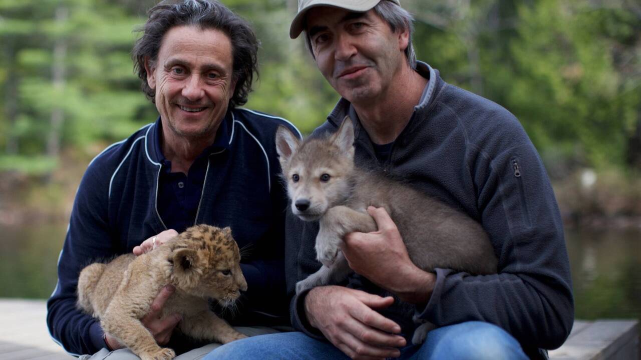 Im Kino: „Der Wolf und der Löwe“. 