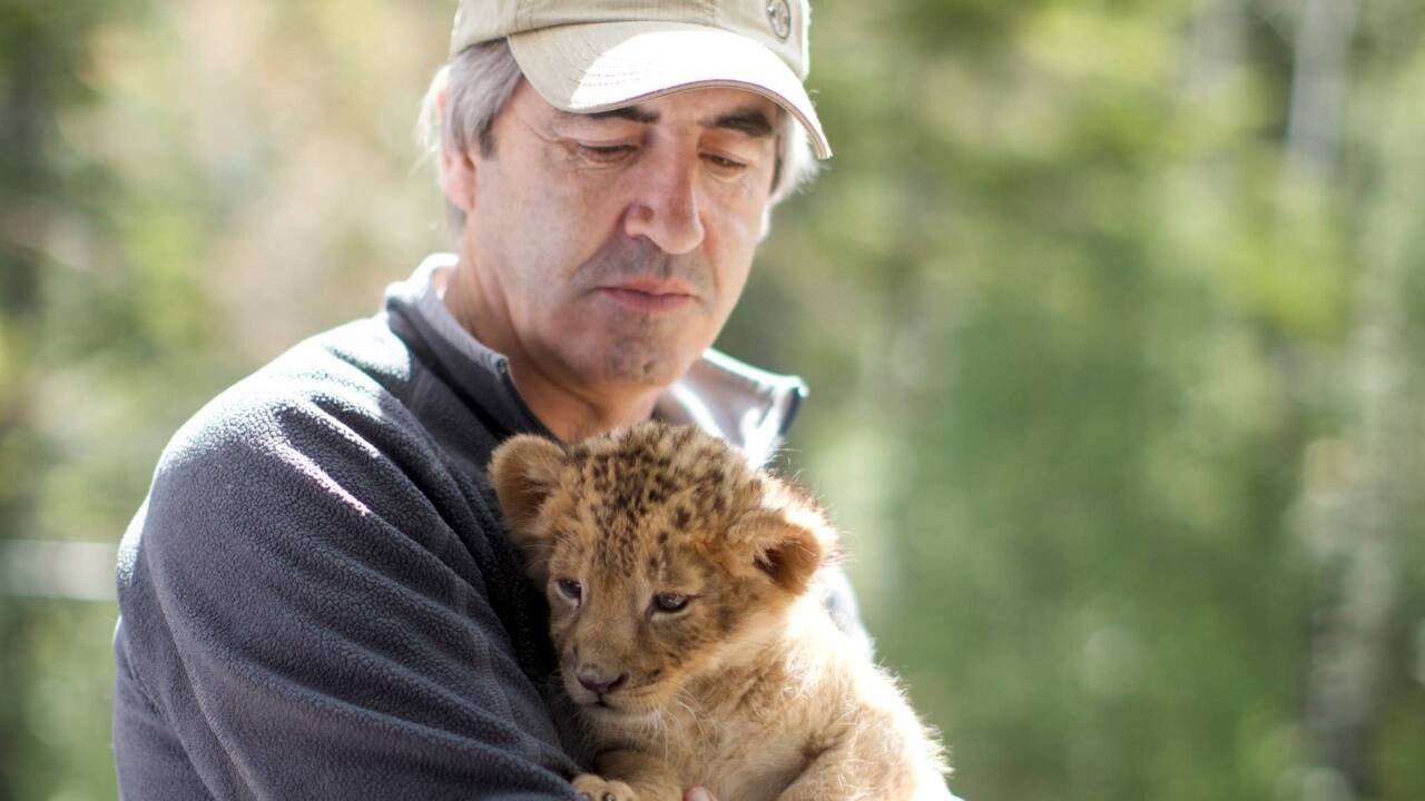 Im Kino: „Der Wolf und der Löwe“. 