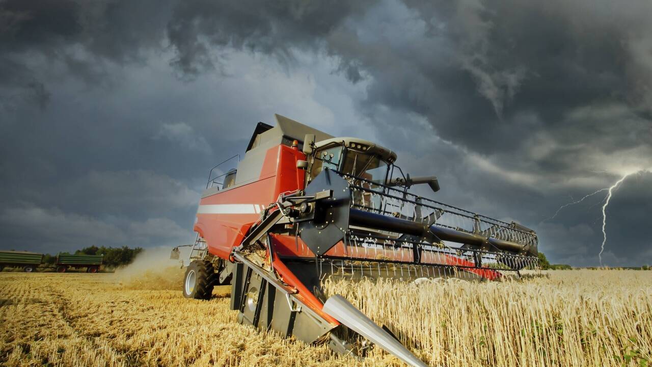 Starkregen setzt den Böden umso eher zu, je trockener sie sind – wie neue Studien beweisen. (Symbolbild).  