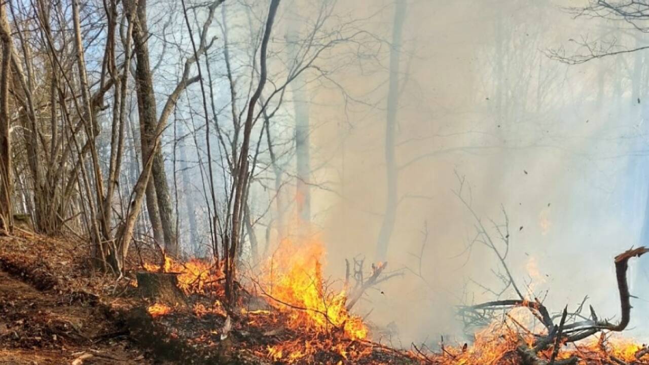 Waldbrände wie hier entstehen wegen der Trockenheit derzeit rasch 