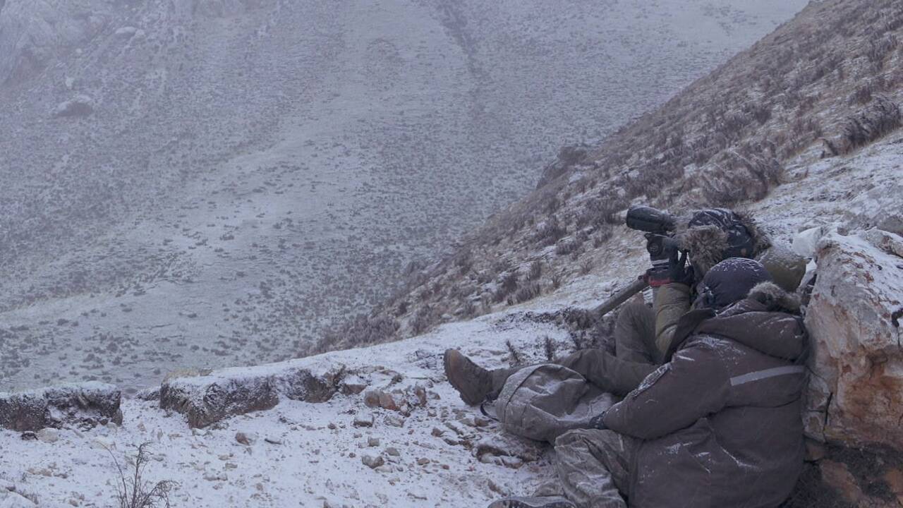Bilder zum Film „Der Schneeleopard“. 