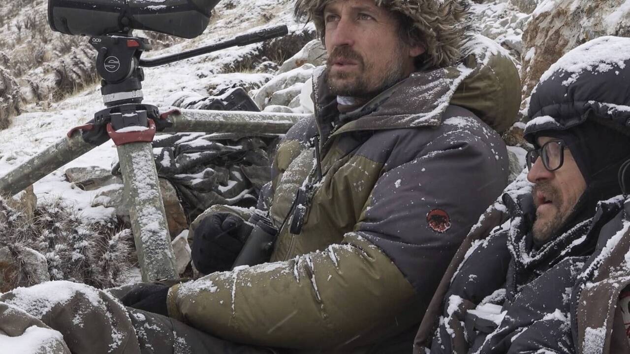 Bilder zum Film „Der Schneeleopard“. 