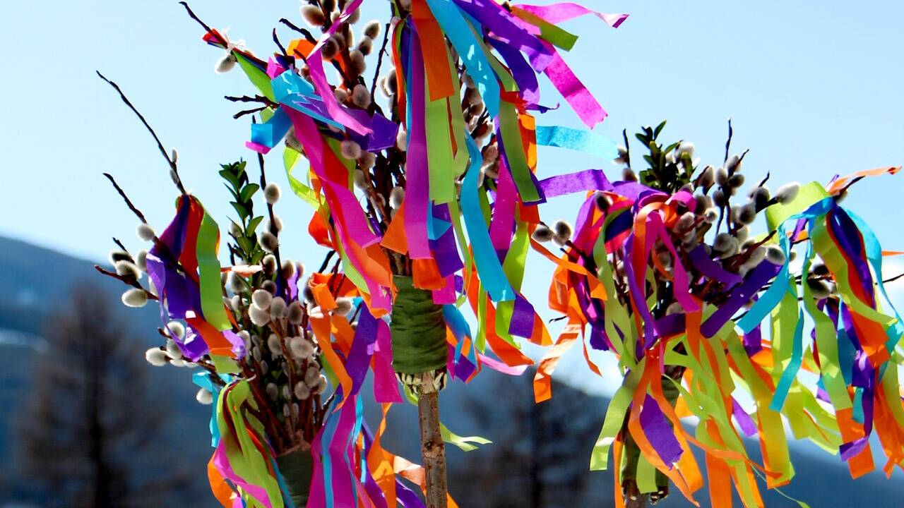 Bunte Palmkätzchen zieren viele Gärten rund um Ostern. 