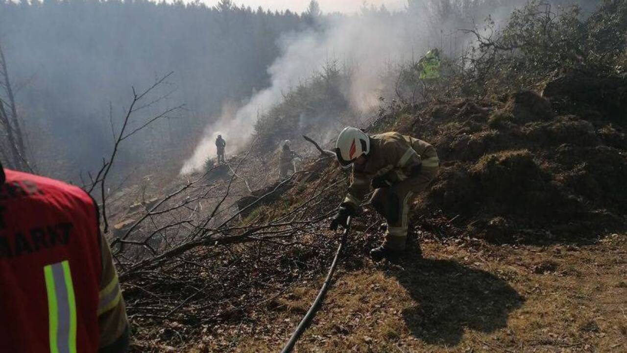 Auch die Freiwillige Feuerwehr Neumarkt am Wallersee war im Einsatz. Auch die Freiwillige Feuerwehr Neumarkt am Wallersee war im Einsatz.