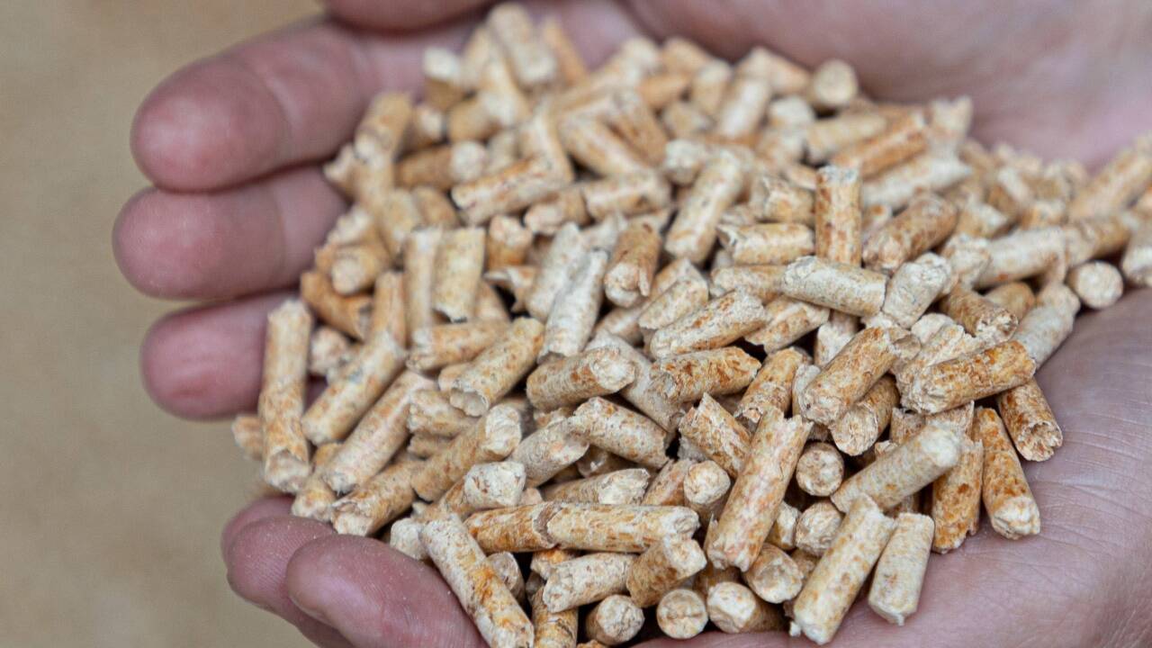 Auch die Pellets-Preise sind gestiegen. Doch im Vergleich zu Öl und Gas sei man hier noch gut bedient, meint der Experte.  