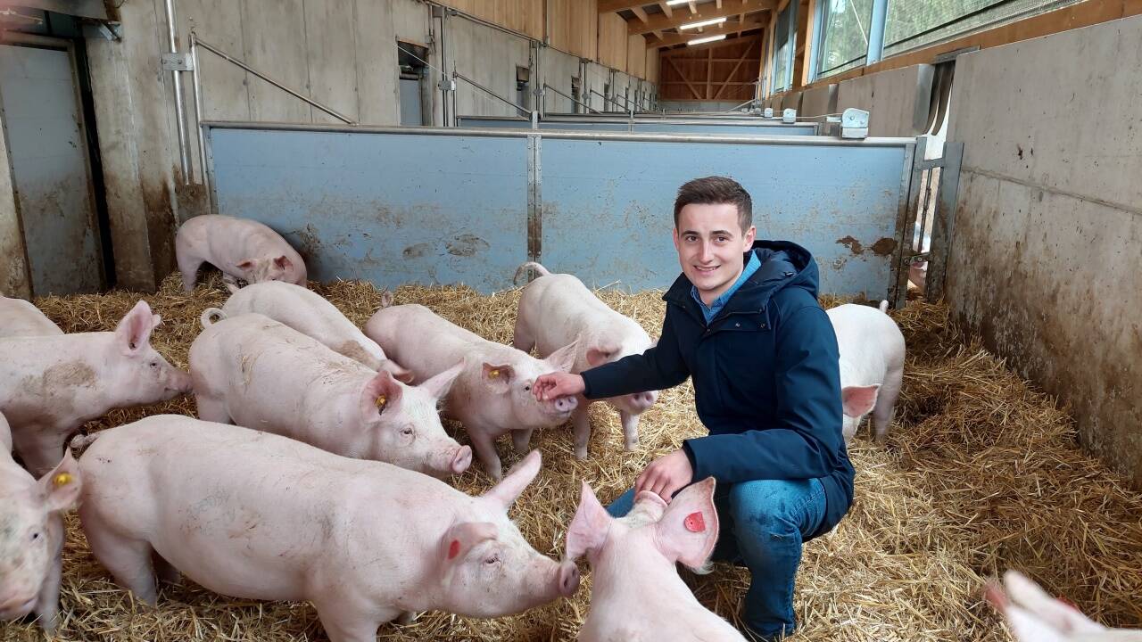 Martin Halbartschlager betreibt seit einem halben Jahr im Bezirk Amstetten einen Schweinemastbetrieb mit dem AMA-Gütesiegel „Mehr Tierwohl“. 