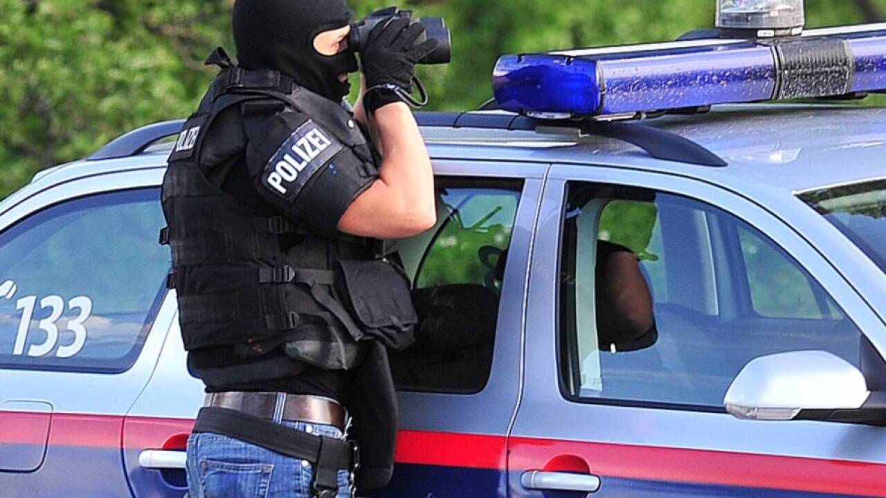 Cobra macht gerade keine gute Figur 
